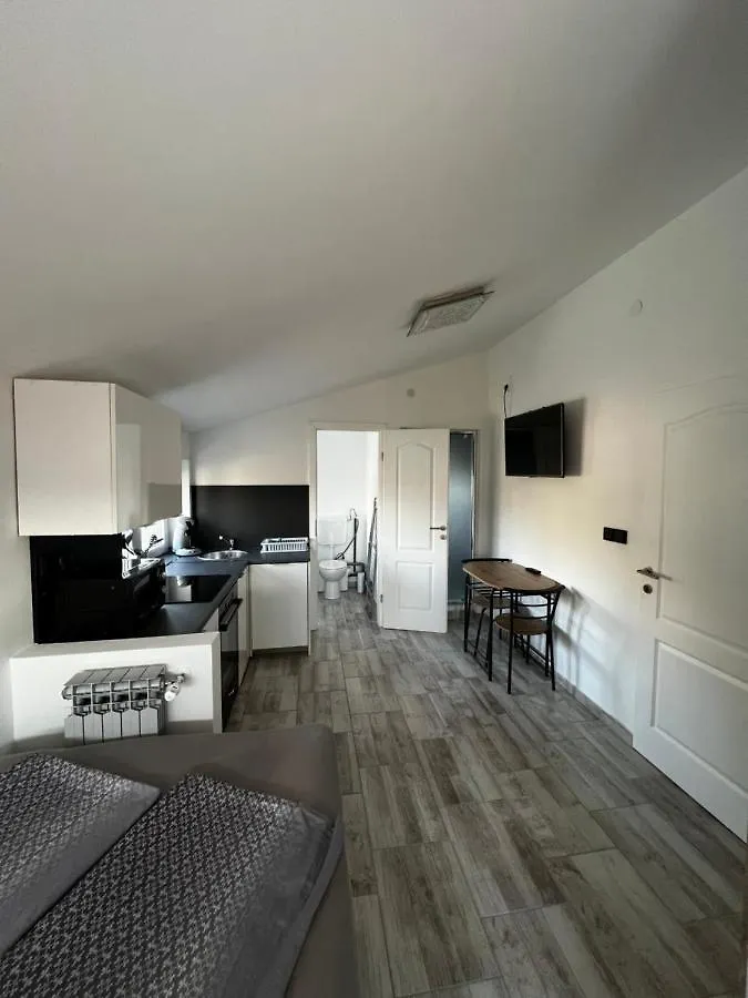Apartment Stinjan Пула